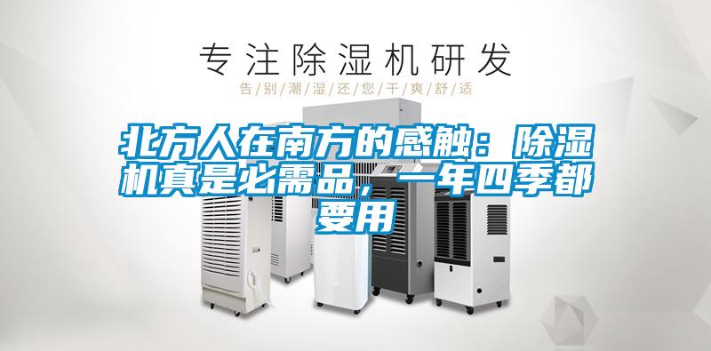 北方人在南方的感觸:除濕機真是必需品,一年四季都要用