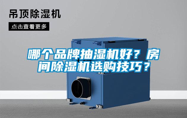 哪個品牌抽濕機(jī)好？房間除濕機(jī)選購技巧？