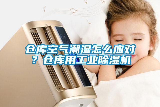 倉庫空氣潮濕怎么應對？倉庫用工業除濕機