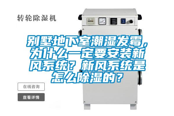 別墅地下室潮濕發霉,為什么一定要安裝新風系統?新風系統是怎么除濕的?