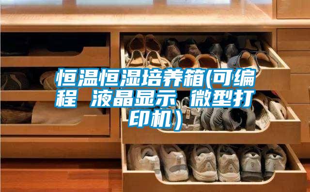 恒溫恒濕培養(yǎng)箱(可編程 液晶顯示 微型打印機(jī))