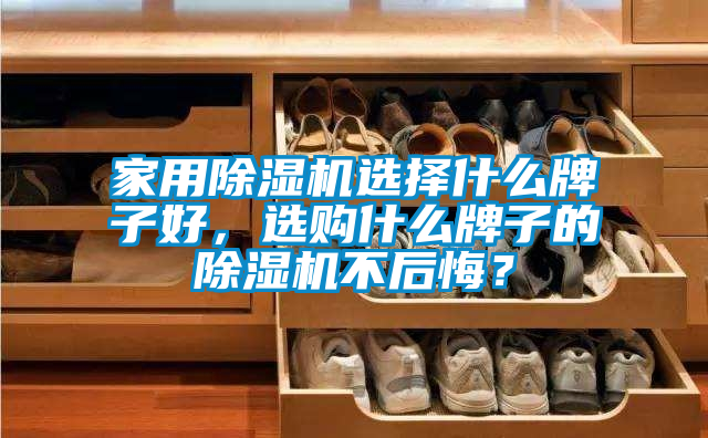 家用除濕機(jī)選擇什么牌子好，選購什么牌子的除濕機(jī)不后悔？