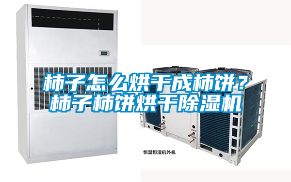 柿子怎么烘干成柿餅?柿子柿餅烘干除濕機(jī)