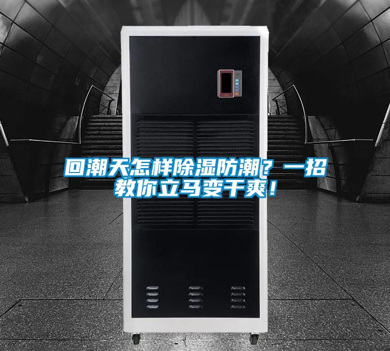 回潮天怎樣除濕防潮？一招教你立馬變干爽！