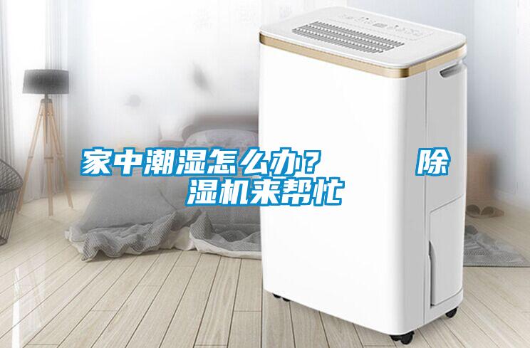 家中潮濕怎么辦? 除濕機(jī)來(lái)幫忙