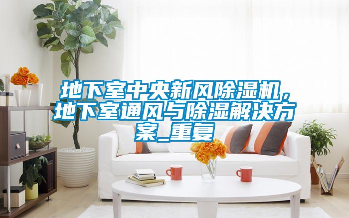 地下室中央新風除濕機,地下室通風與除濕解決方案_重復