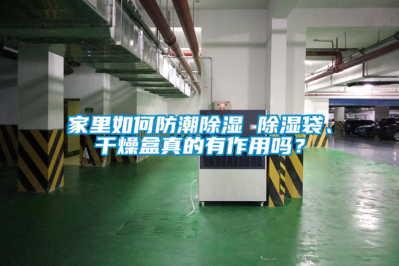 家里如何防潮除濕 除濕袋、干燥盒真的有作用嗎?