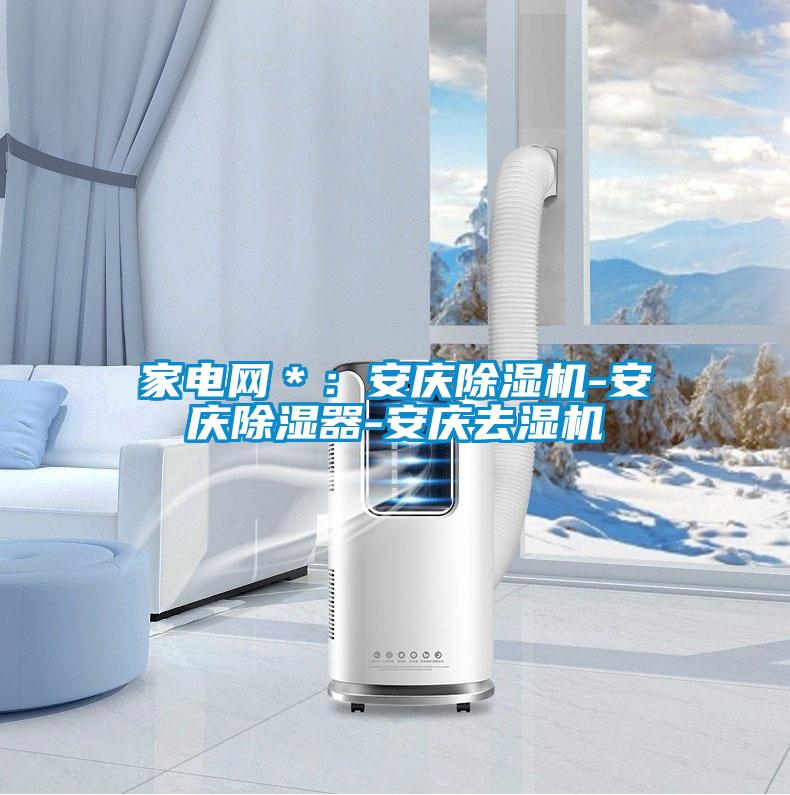 家電網*:安慶除濕機-安慶除濕器-安慶去濕機