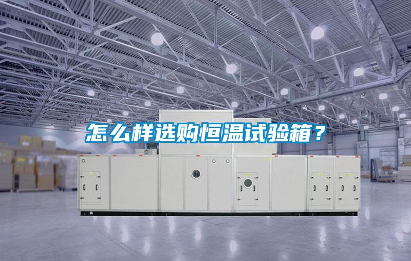 怎么樣選購恒溫試驗箱?