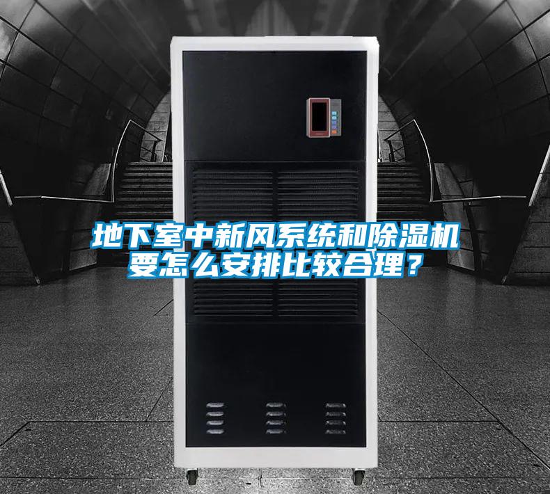 地下室中新風系統(tǒng)和除濕機要怎么安排比較合理?