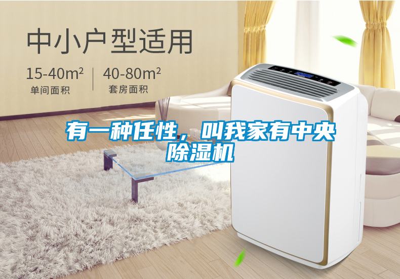 有一種任性，叫我家有中央除濕機(jī)
