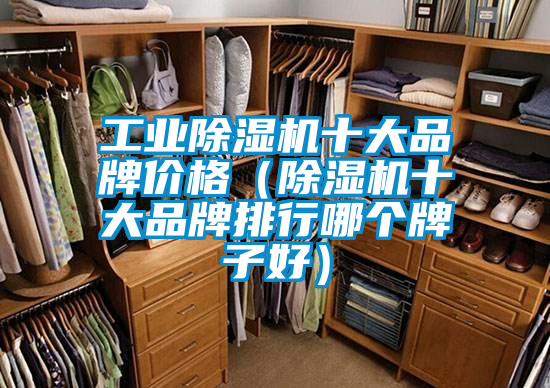工業除濕機十大品牌價格（除濕機十大品牌排行哪個牌子好）