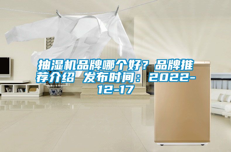 抽濕機品牌哪個好?品牌推薦介紹 發(fā)布時間:2022-12-17