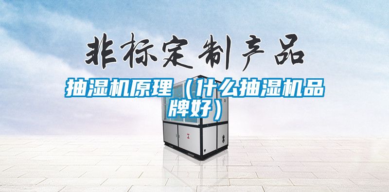 抽濕機(jī)原理(什么抽濕機(jī)品牌好)