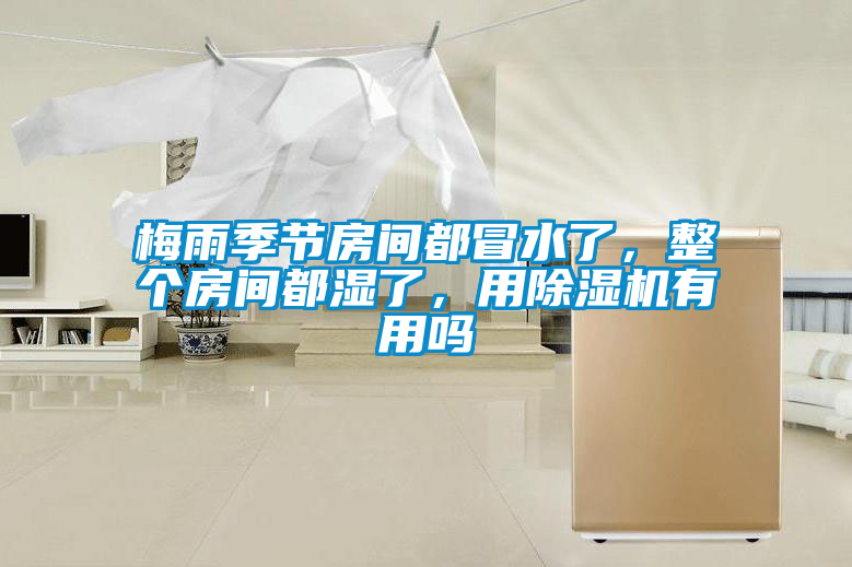 梅雨季節(jié)房間都冒水了，整個房間都濕了，用除濕機(jī)有用嗎