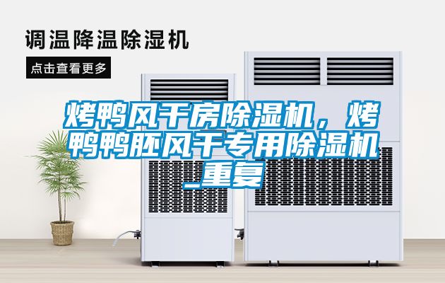 烤鴨風(fēng)干房除濕機，烤鴨鴨胚風(fēng)干專用除濕機_重復(fù)