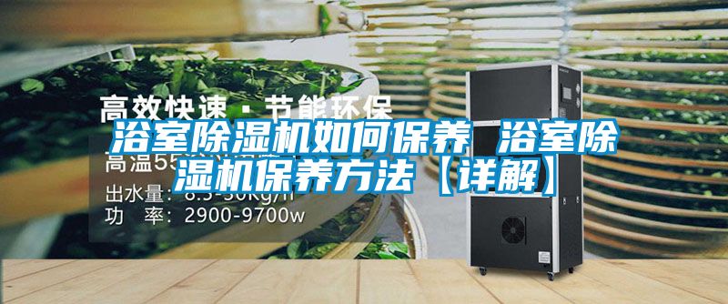 浴室除濕機(jī)如何保養(yǎng) 浴室除濕機(jī)保養(yǎng)方法【詳解】