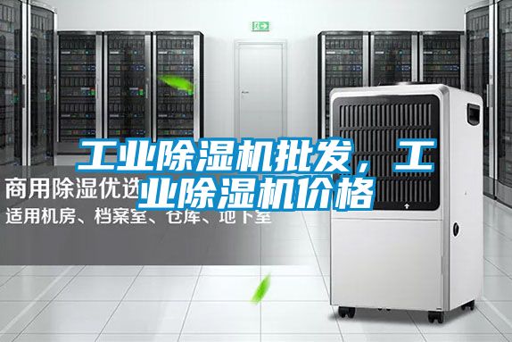 工業除濕機批發,工業除濕機價格