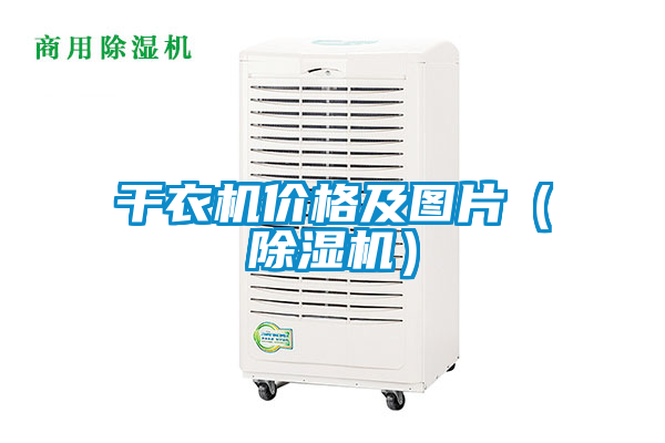干衣機(jī)價格及圖片（除濕機(jī)）