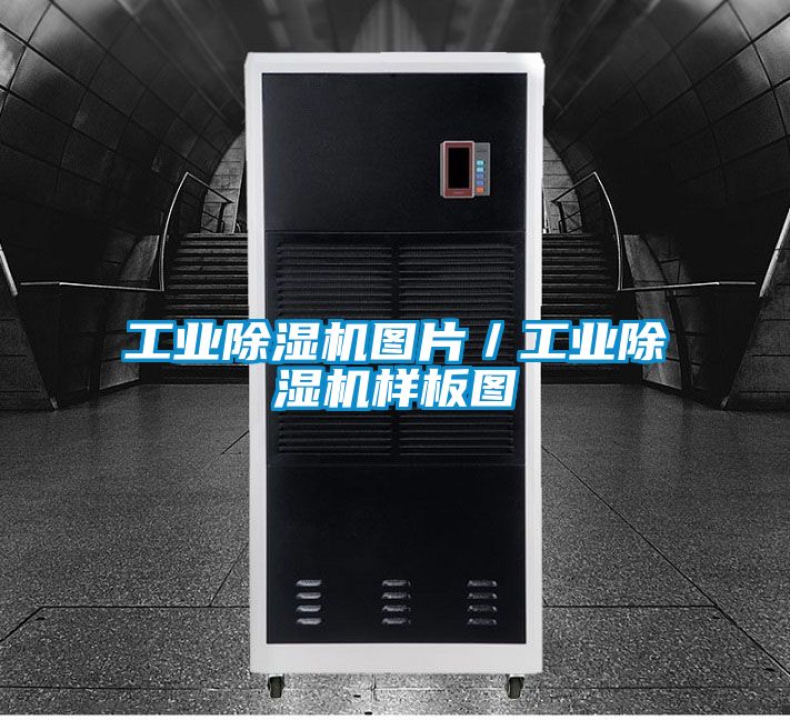工業(yè)除濕機(jī)圖片/工業(yè)除濕機(jī)樣板圖
