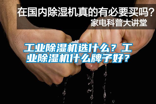 工業除濕機選什么?工業除濕機什么牌子好?