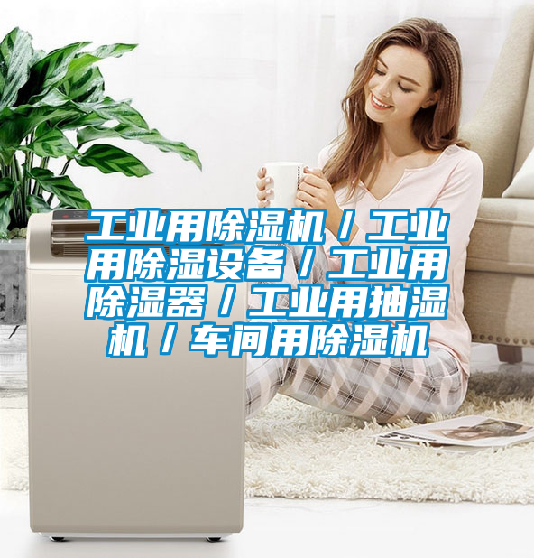 工業(yè)用除濕機(jī)/工業(yè)用除濕設(shè)備/工業(yè)用除濕器/工業(yè)用抽濕機(jī)/車間用除濕機(jī)