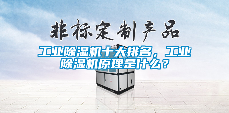 工業除濕機十大排名,工業除濕機原理是什么?
