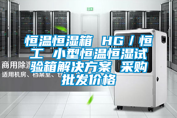 恒溫恒濕箱 HG/恒工 小型恒溫恒濕試驗箱解決方案 采購批發(fā)價格