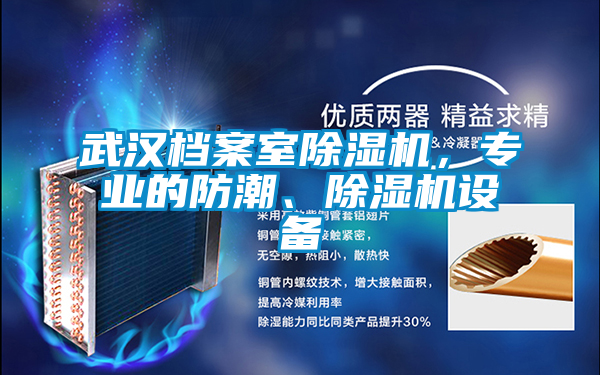 武漢檔案室除濕機(jī),專業(yè)的防潮、除濕機(jī)設(shè)備