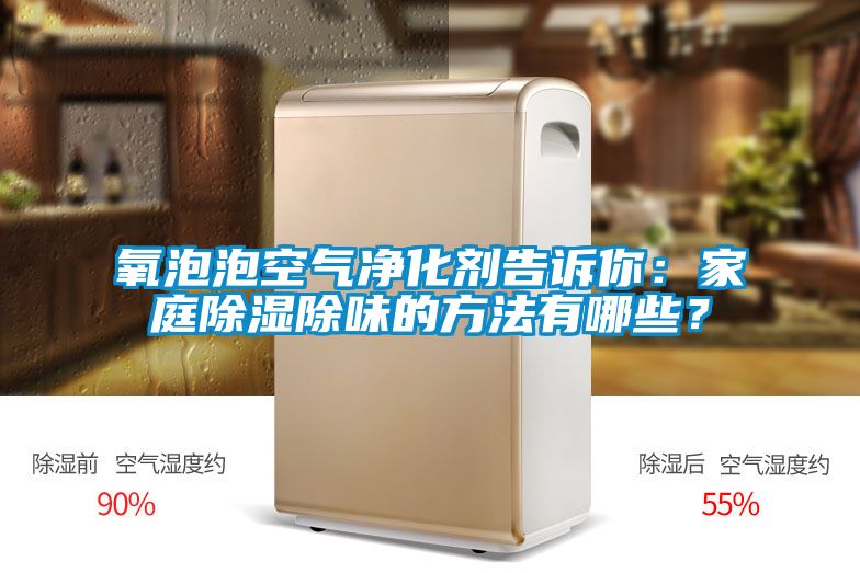 氧泡泡空氣凈化劑告訴你：家庭除濕除味的方法有哪些？