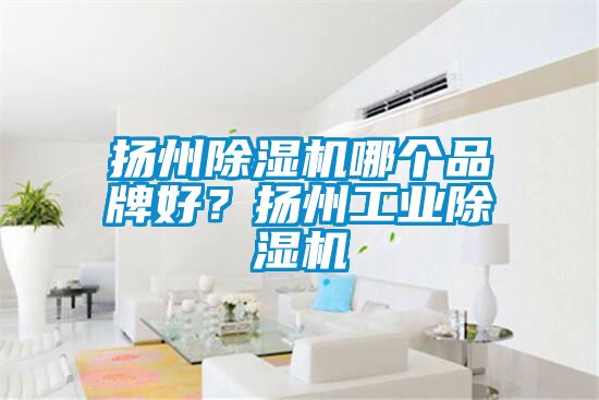 揚州除濕機哪個品牌好?揚州工業除濕機