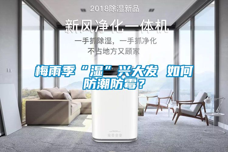 梅雨季“濕”興大發 如何防潮防霉?