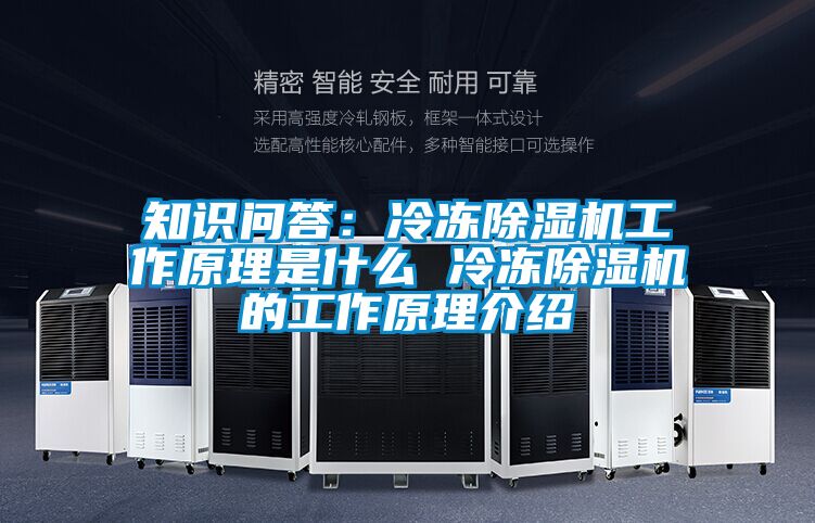 知識問答:冷凍除濕機工作原理是什么 冷凍除濕機的工作原理介紹