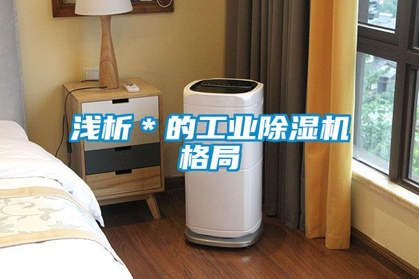 淺析*的工業除濕機格局