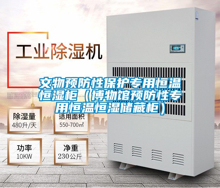 文物預防性保護專用恒溫恒濕柜(博物館預防性專用恒溫恒濕儲藏柜)