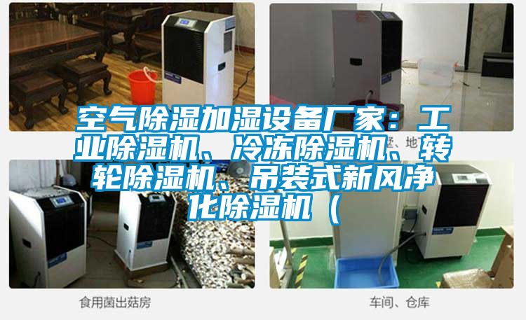 空氣除濕加濕設(shè)備廠家:工業(yè)除濕機、冷凍除濕機、轉(zhuǎn)輪除濕機、吊裝式新風(fēng)凈化除濕機(