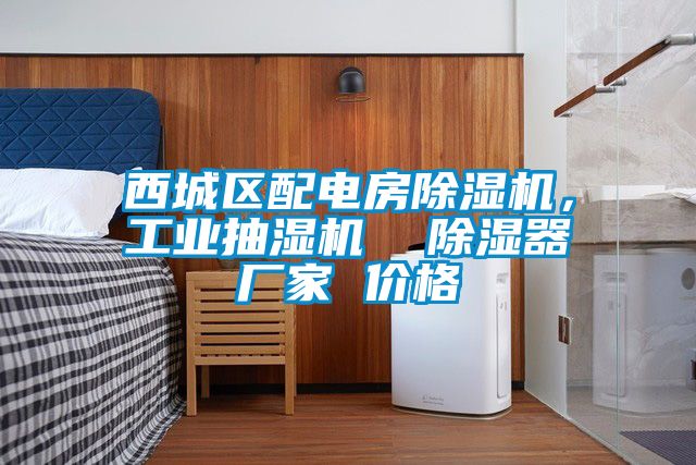 西城區配電房除濕機，工業抽濕機  除濕器廠家 價格