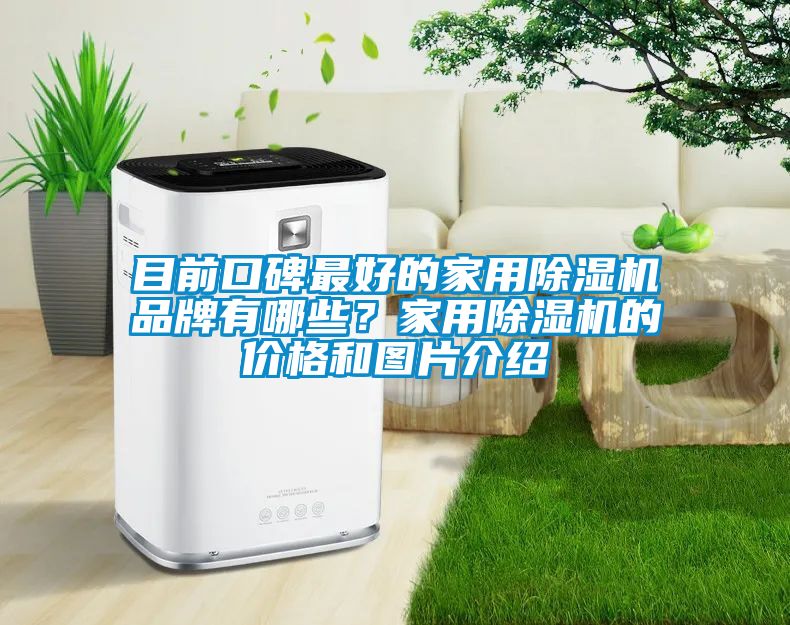 目前口碑最好的家用除濕機品牌有哪些?家用除濕機的價格和圖片介紹
