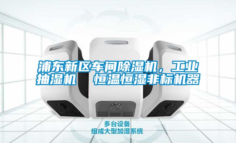 浦東新區車間除濕機，工業抽濕機  恒溫恒濕非標機器