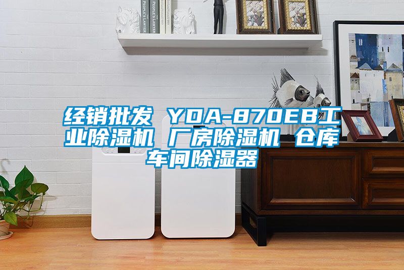 經銷批發(fā) YDA-870EB工業(yè)除濕機 廠房除濕機 倉庫車間除濕器