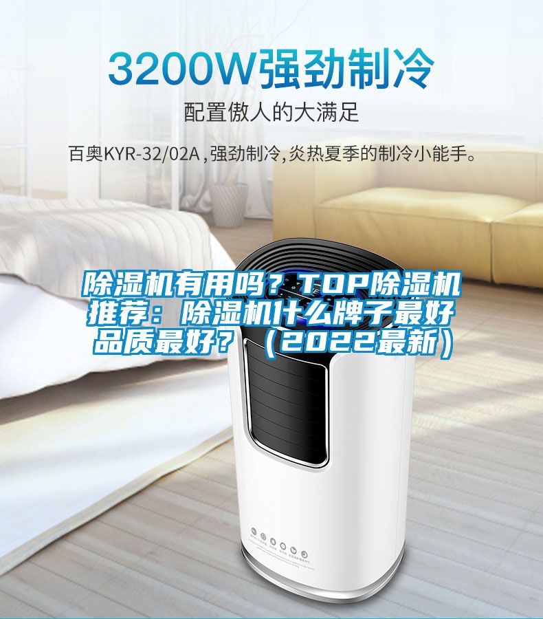 除濕機有用嗎?TOP除濕機推薦:除濕機什么牌子最好品質最好?(2022最新)