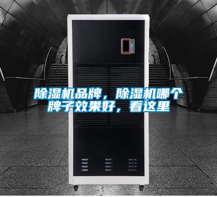 除濕機品牌，除濕機哪個牌子效果好，看這里