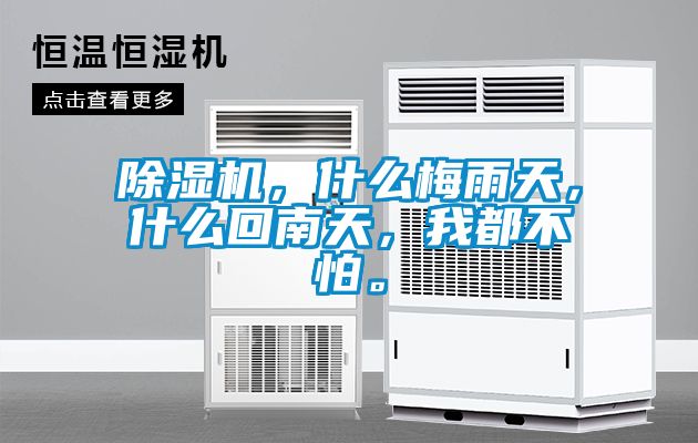 除濕機,什么梅雨天,什么回南天,我都不怕。