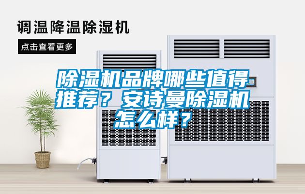 除濕機品牌哪些值得推薦?安詩曼除濕機怎么樣?